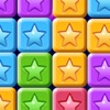 Block Puzzle Star Plus icon