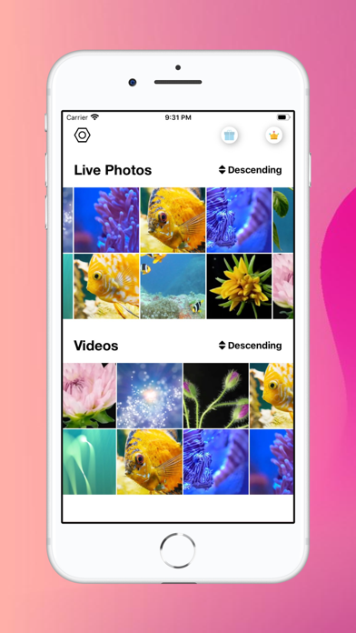 Live Photo Converter . Screenshot