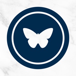 Blue Butterfly Coffee