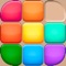 Icon Block Puzzle Game.