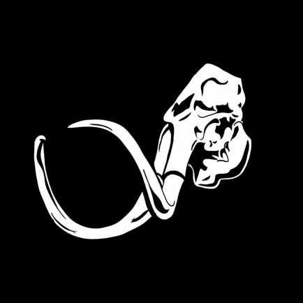 Mammoth CrossFit Читы