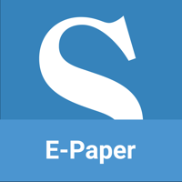 Stimme E-Paper