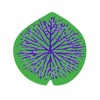 ARACI.lab icon