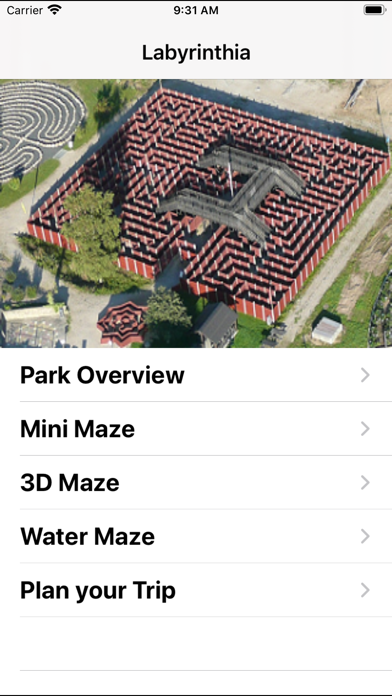 Screenshot #2 pour Labyrinthia