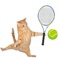 Icon Cat Tennis 3D