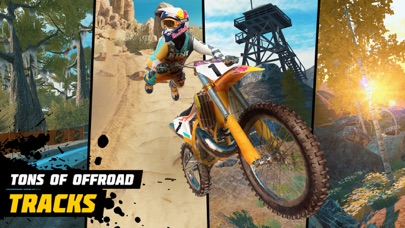 screenshot of Dirt Bike Unchained 2