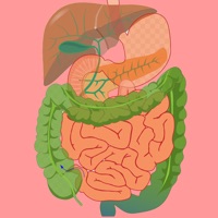 Digestive System Flashcards logo