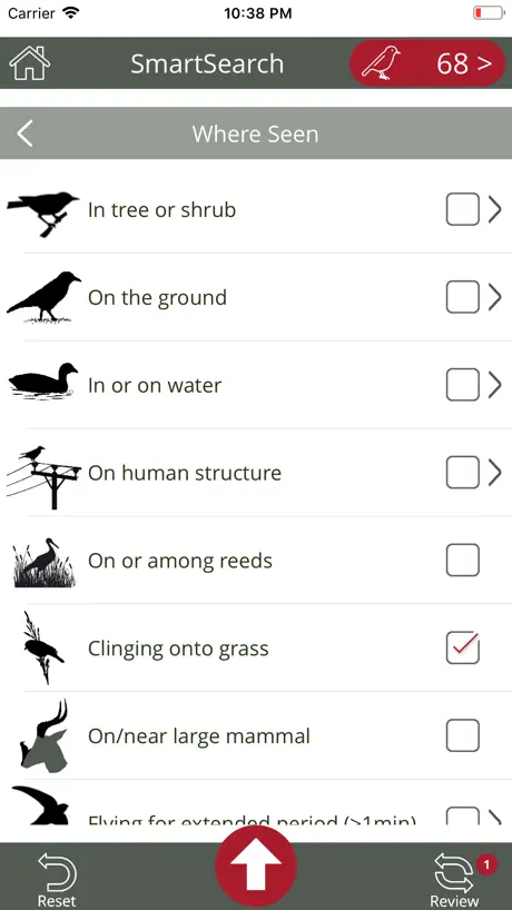 BirdPro