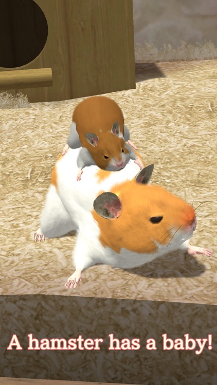 2048 Terra dos Hamsters - Paraíso Hamster - Games