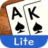 Spades Lite problems & troubleshooting and solutions