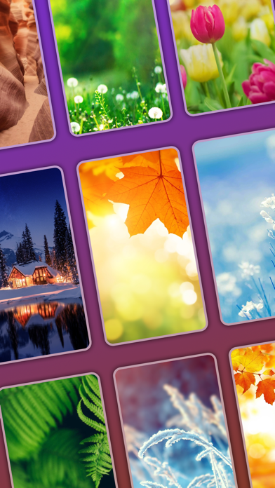 Word Crossy - Brain Games Screenshot