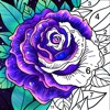 Icon Coloring Book -Color by Number