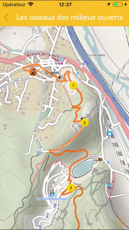 Les oiseaux des Alpilles