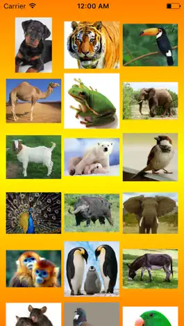 Game screenshot Birds And Animals Call mod apk