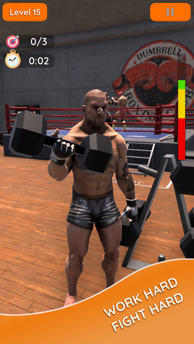 Boxer Mania Screenshot