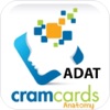 ADAT Anatomy Cram Cards