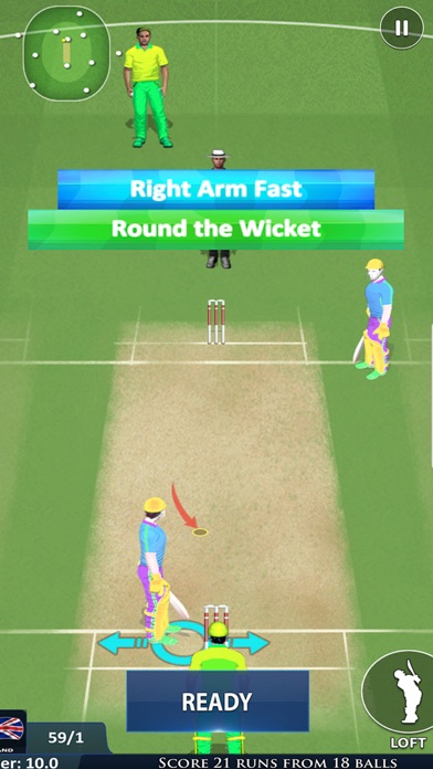 Play Live Cricket Game Screenshot