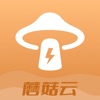 蘑菇云浏览器 icon
