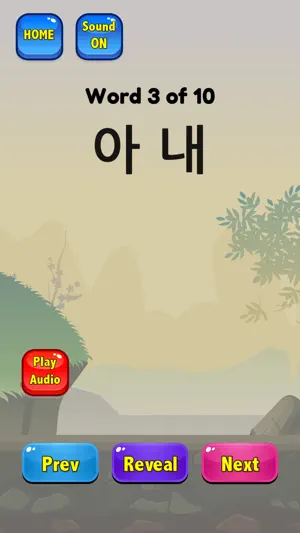 Korean Flashcards TOPIK screenshot 4