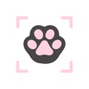 Meowow AI