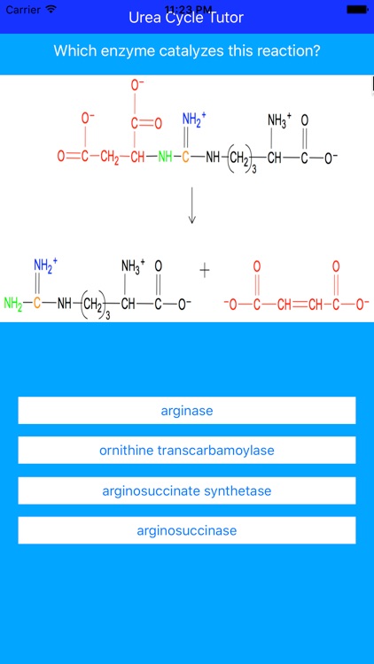 Urea Cycle Tutor