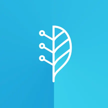 LTech Challenge Читы