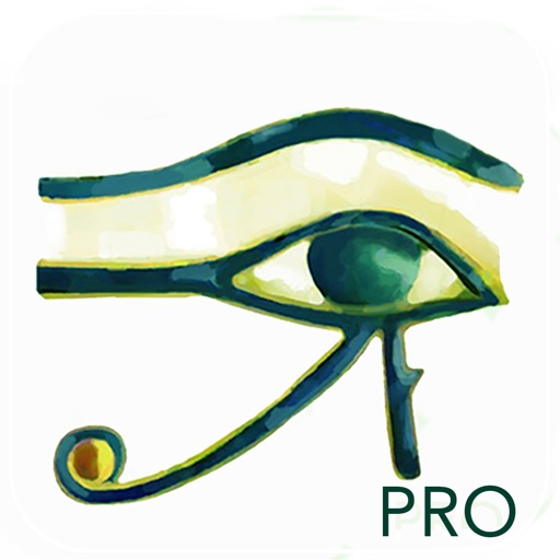 Horus Condition Report Pro