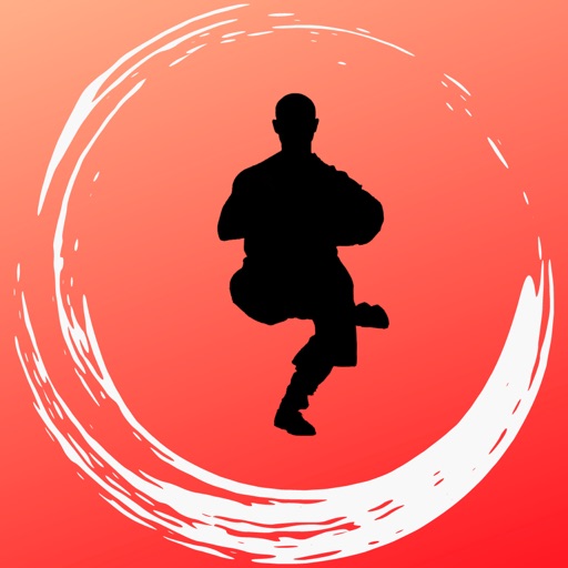 Gongfu Fit - Virtual Gongfu