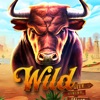 Wild West Buffalo icon