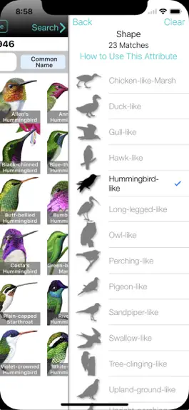 Game screenshot iBird Ultimate Guide to Birds hack