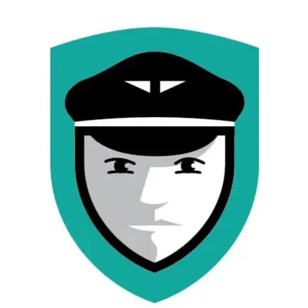 RESILIENT PILOT Читы