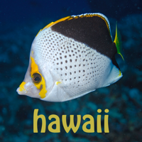 Scuba Fish Hawaii