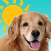 Sundoggy icon