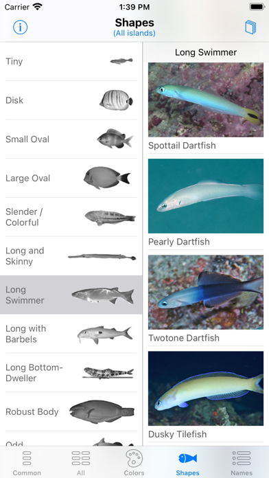Tahiti Fish ID Screenshot