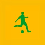 Download Copa Cerrado app
