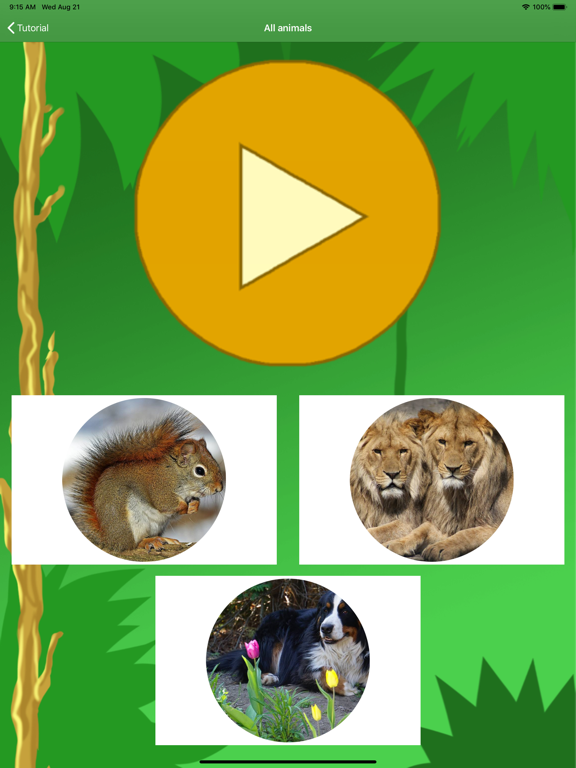 Animal Sounds for Kids - Learn iPad screenshot