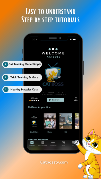 CatBoss TV Cat Training Screenshot