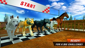 Crazy Wild Black Panther Race screenshot