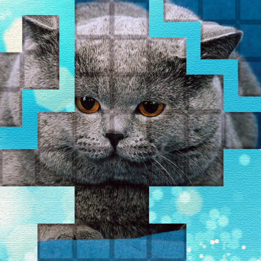 PicPu Cat Puzzle icon