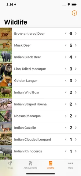 Game screenshot Tiger Sanctuary apk