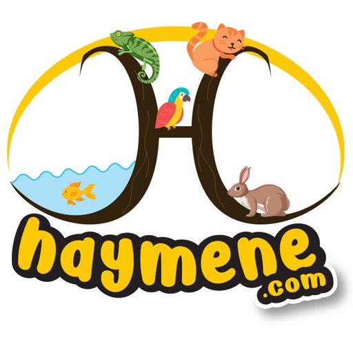 Haymene