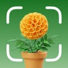 Plant Tree Identifier & Health icon