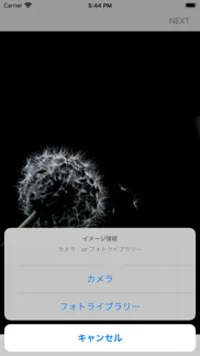 ファション・コレクション iphone screenshot 2