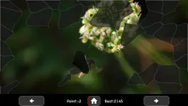 Game screenshot Polygon hack