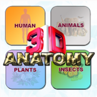 ANATOMY 3D Pro