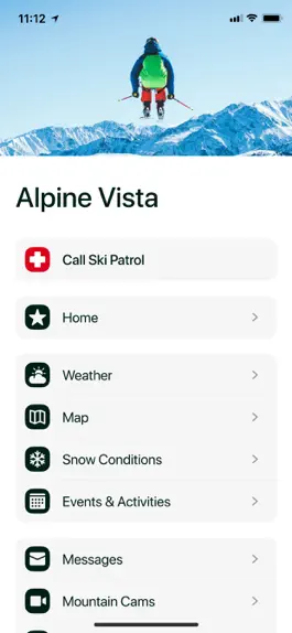Game screenshot Alpine Media Ski apk