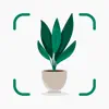 Plantify: Plant Identifier delete, cancel