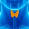 TIRADS, ATA & BTA for Thyroid icon
