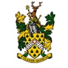 Wokingham Town History icon