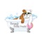 Icon Bruno’s Bath House Dog Spaw